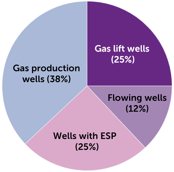 Results of the survey on the use of slicklight in the gas lift wells, gas production wells, wells with ESP and flowing wells